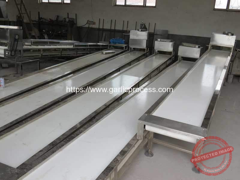 Manual-Selection-Conveyor-for-Food-Processing-Line